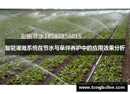 智能灌溉系统在节水与草坪养护中的应用效果分析